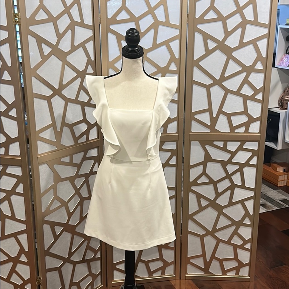 Whisper Ruffle V Neck Dress